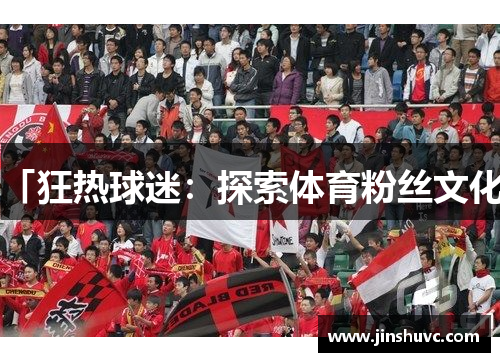 「狂热球迷：探索体育粉丝文化」